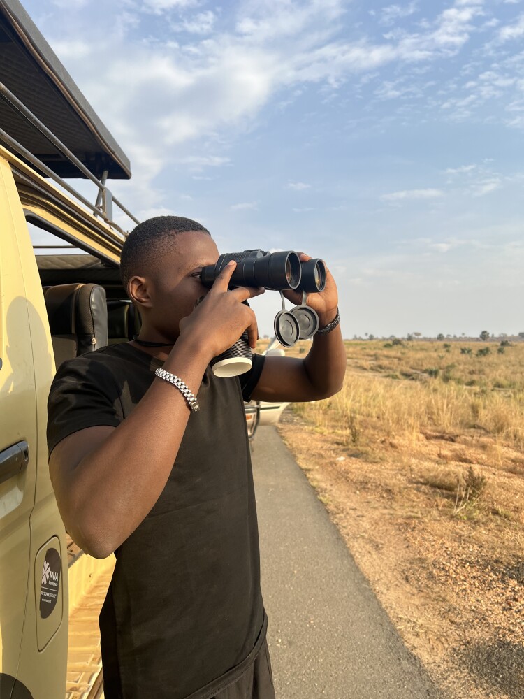Game viewing
