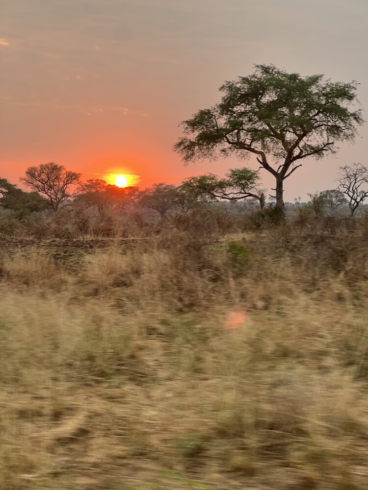 Sun rise