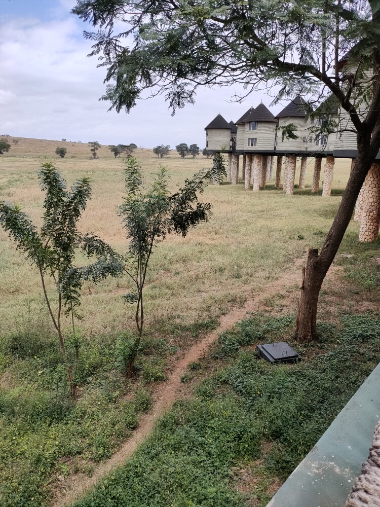 Saltlick lodge