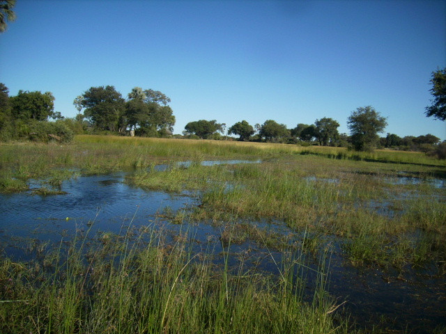 waterways in the okavango delta