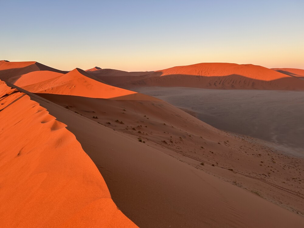 Dune 45