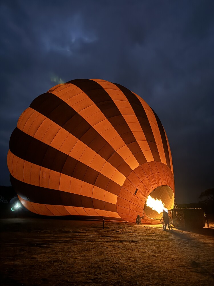 Balloon safari