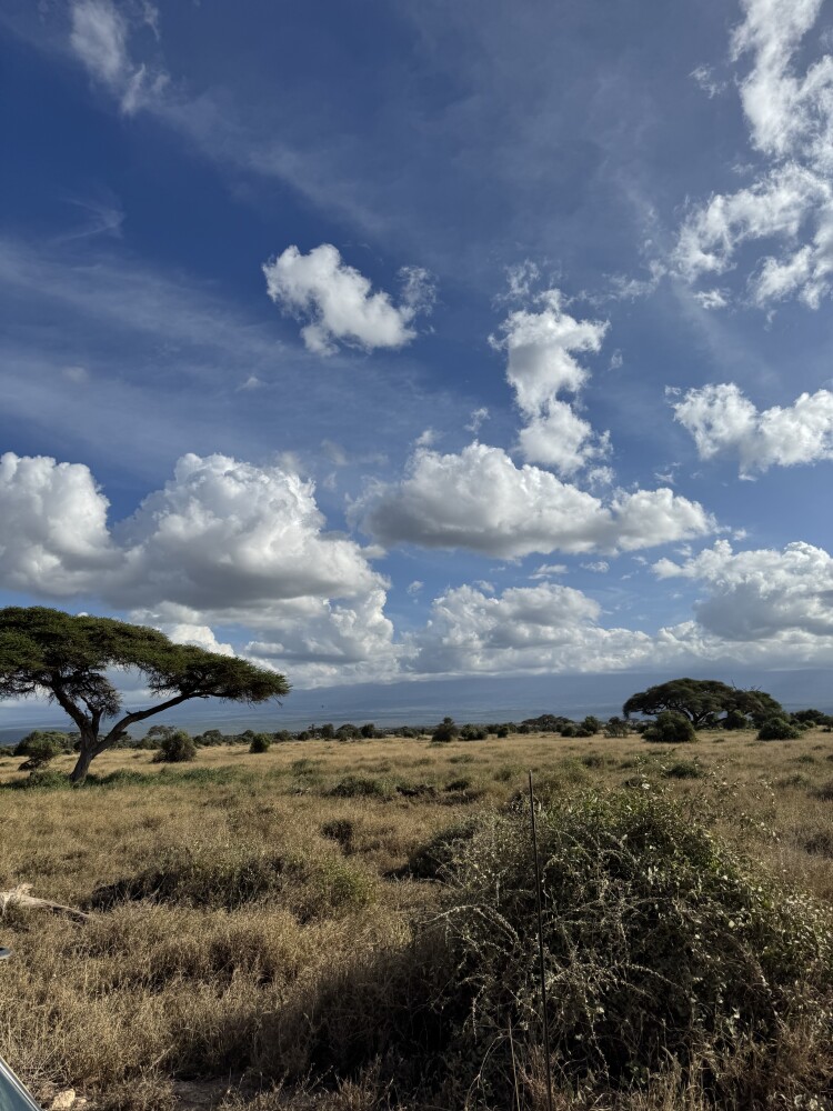 Amboseli