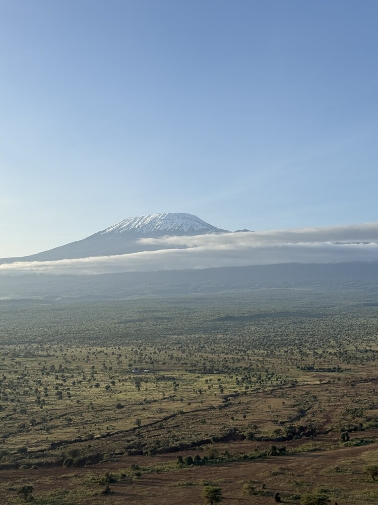 Kilimanjaro