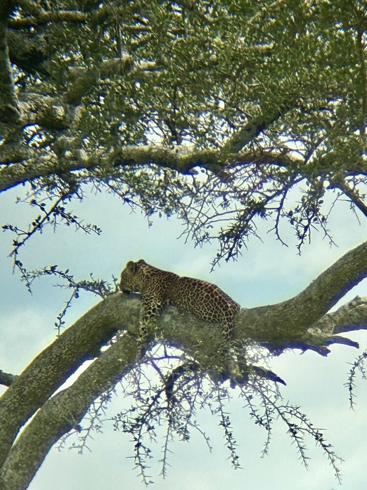 Photo by Pedro Brás Marques