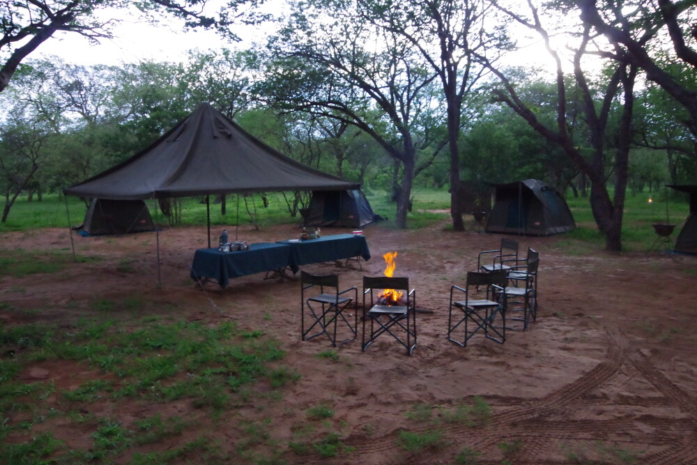 Camp in the park