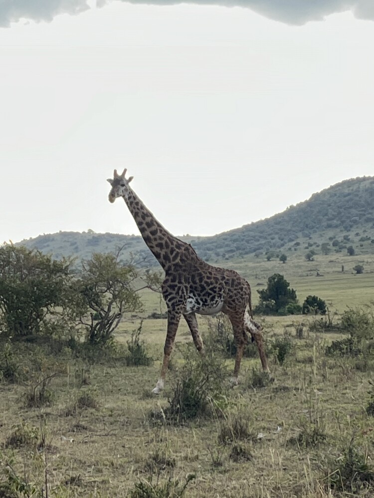 Photo by amandine guerrier