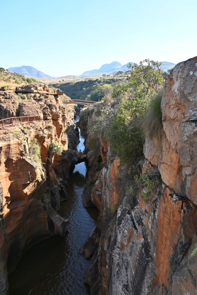 Photo by Lo