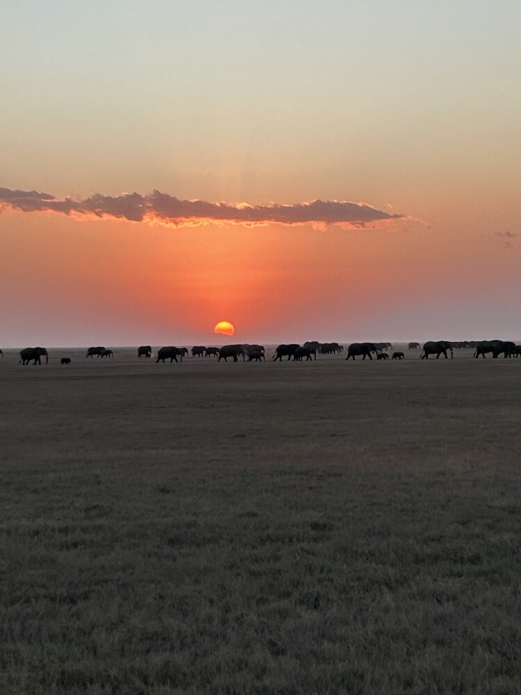 Amboseli