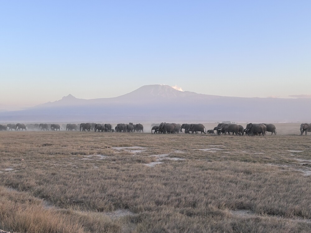 Amboseli