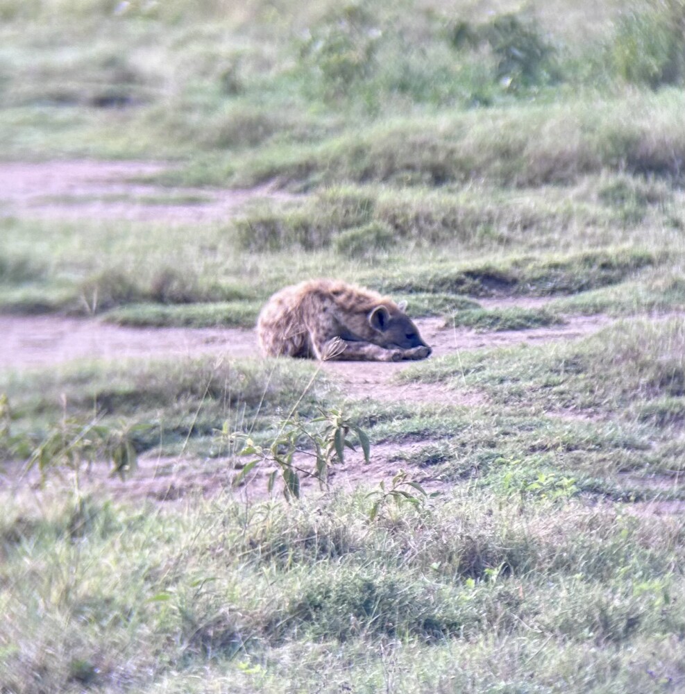 Nakuru
