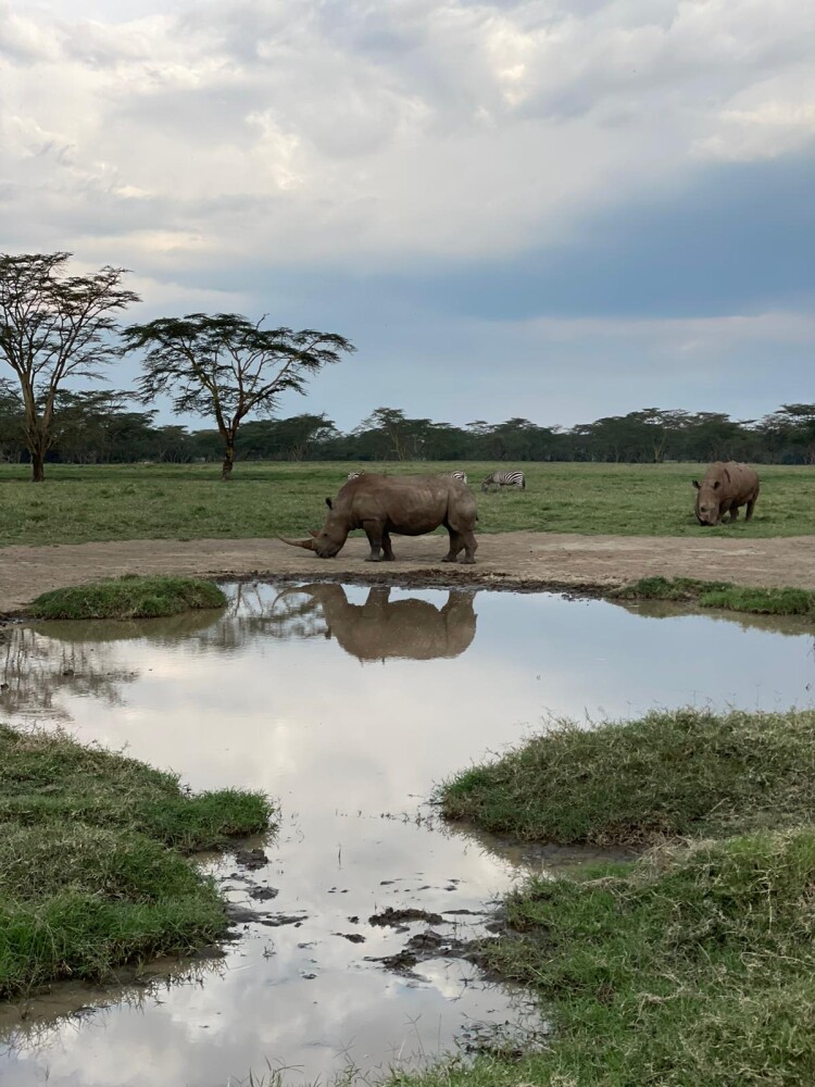 Nakuru