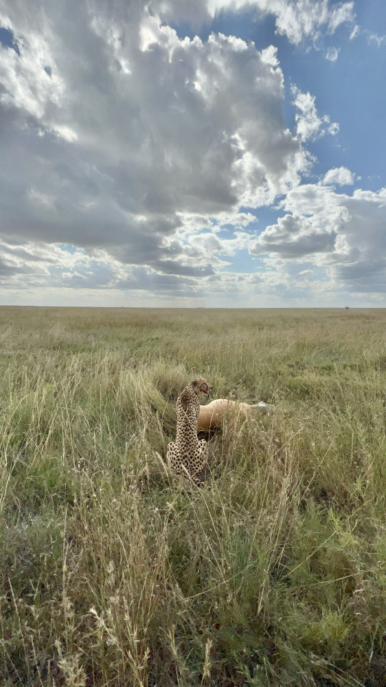 Photo by Helen