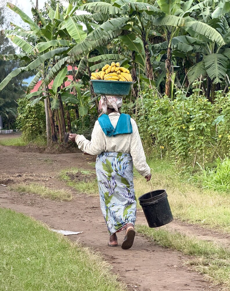 Village life