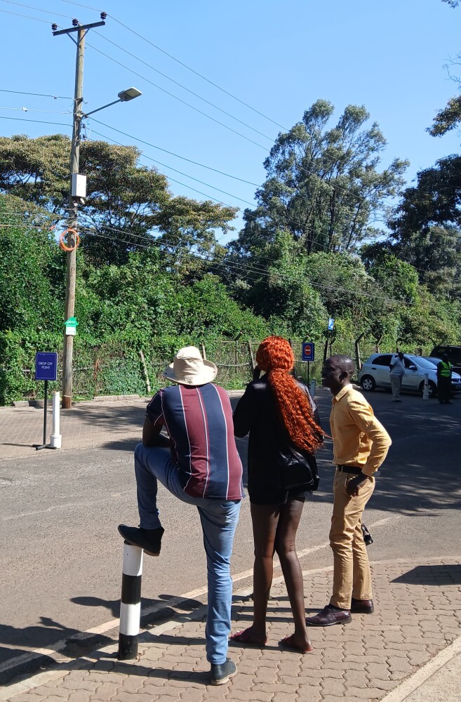 Nairobi giraffe center