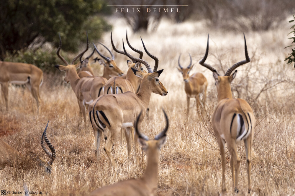 Photo by Felix & Valeria