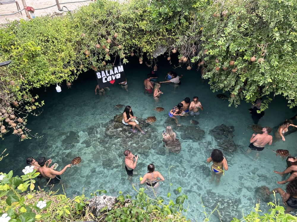 The caves
