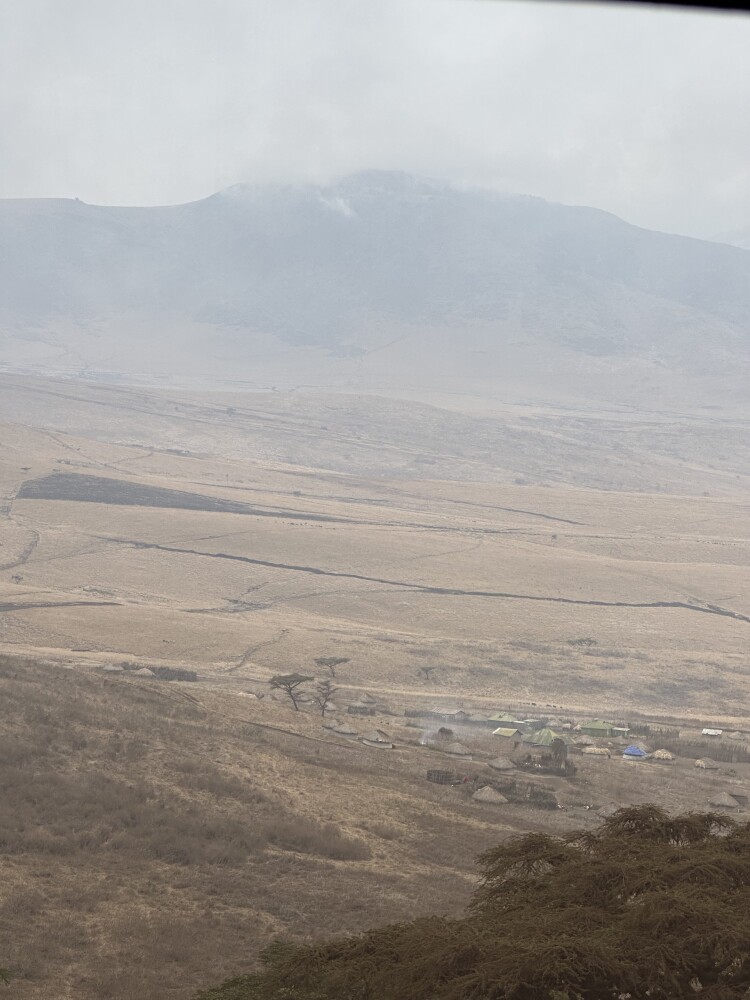 Ngorongoro