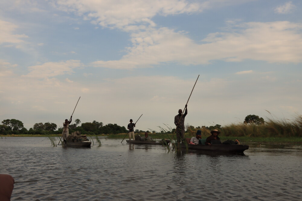 Mokoro in the Delta