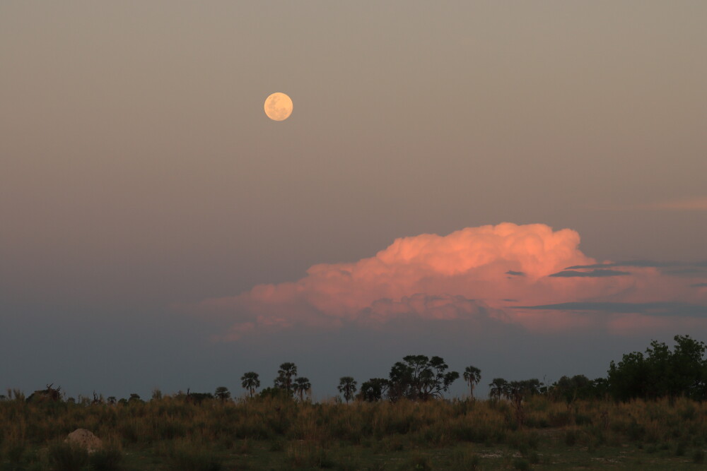 Setting moon, rising sun in the Delta