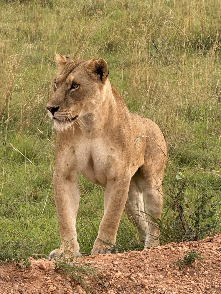 Photo by Konrad