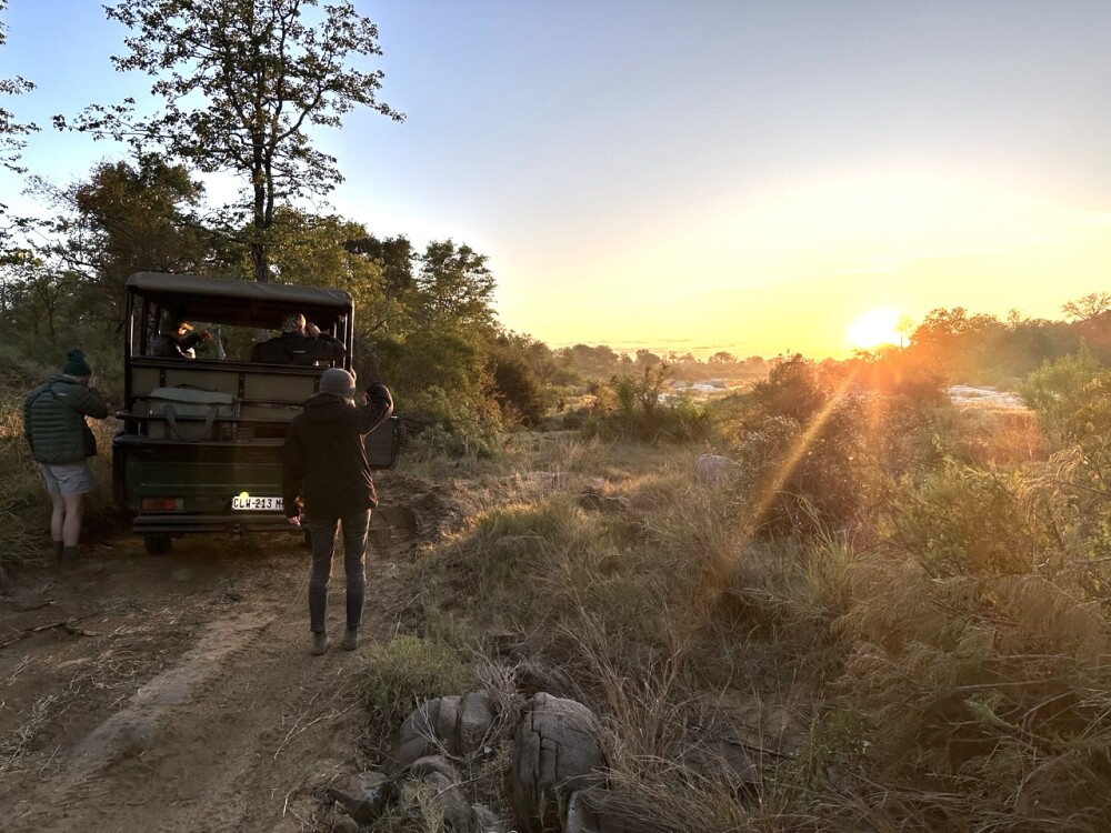 Morning game drive