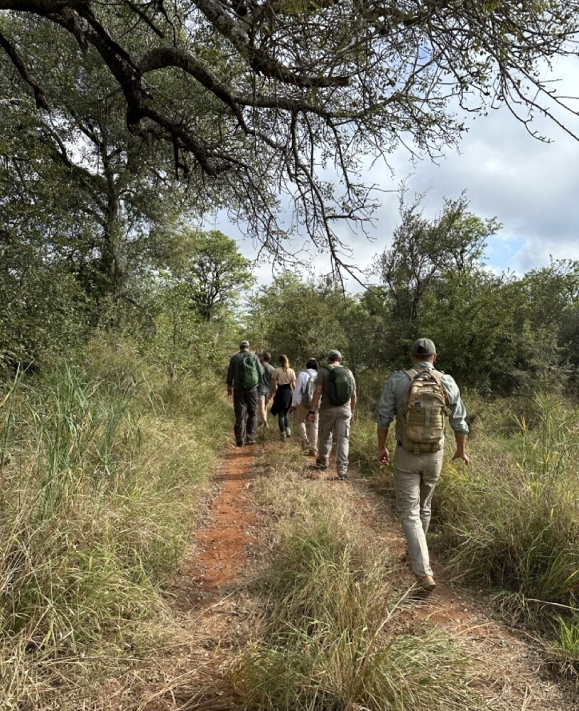 Bush walk