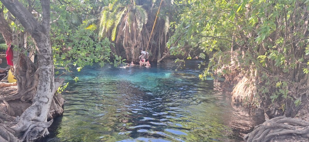 Heiße Quelle Kikuletwa Hot Springs (