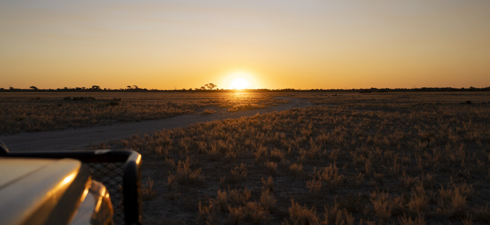 Sundowner sunset - Botswana