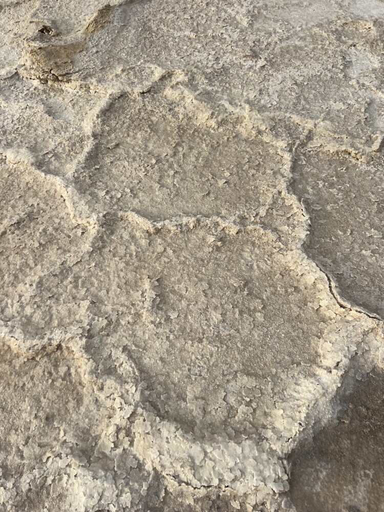 Salt desert