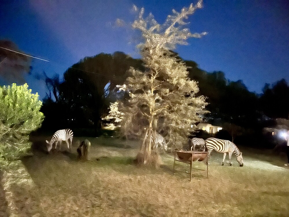 Sanctuary Farm