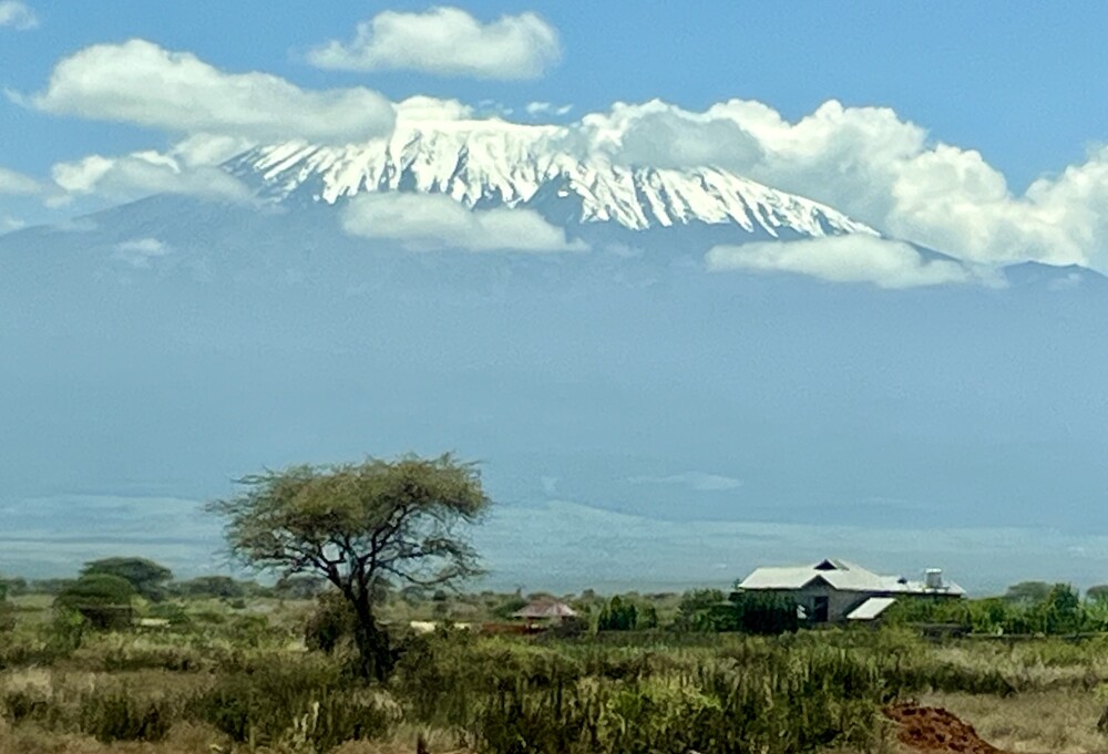 Kilimanjaro
