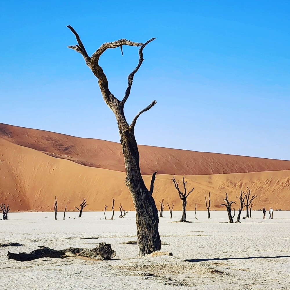 Deadvlei