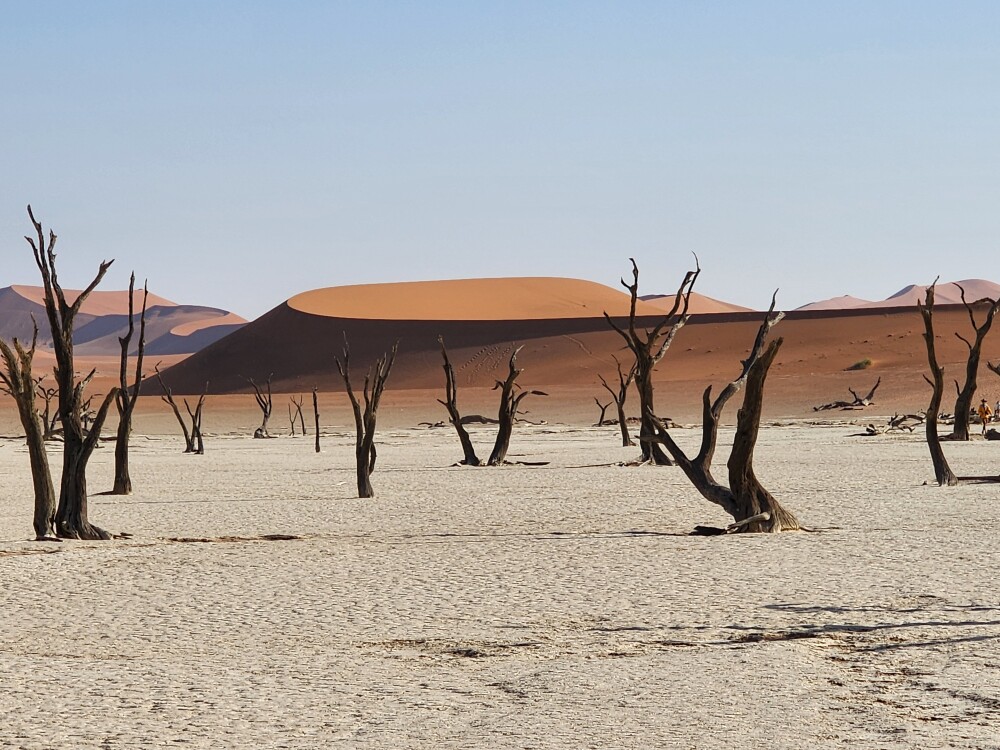 Deadvlei