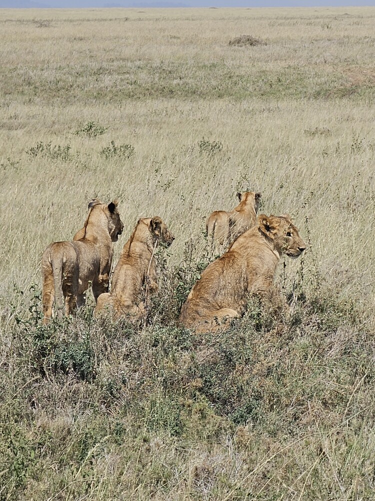 Photo by Pamela