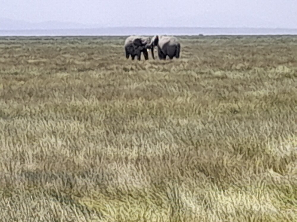 Photo by Rodgers Mulwa Muthusa