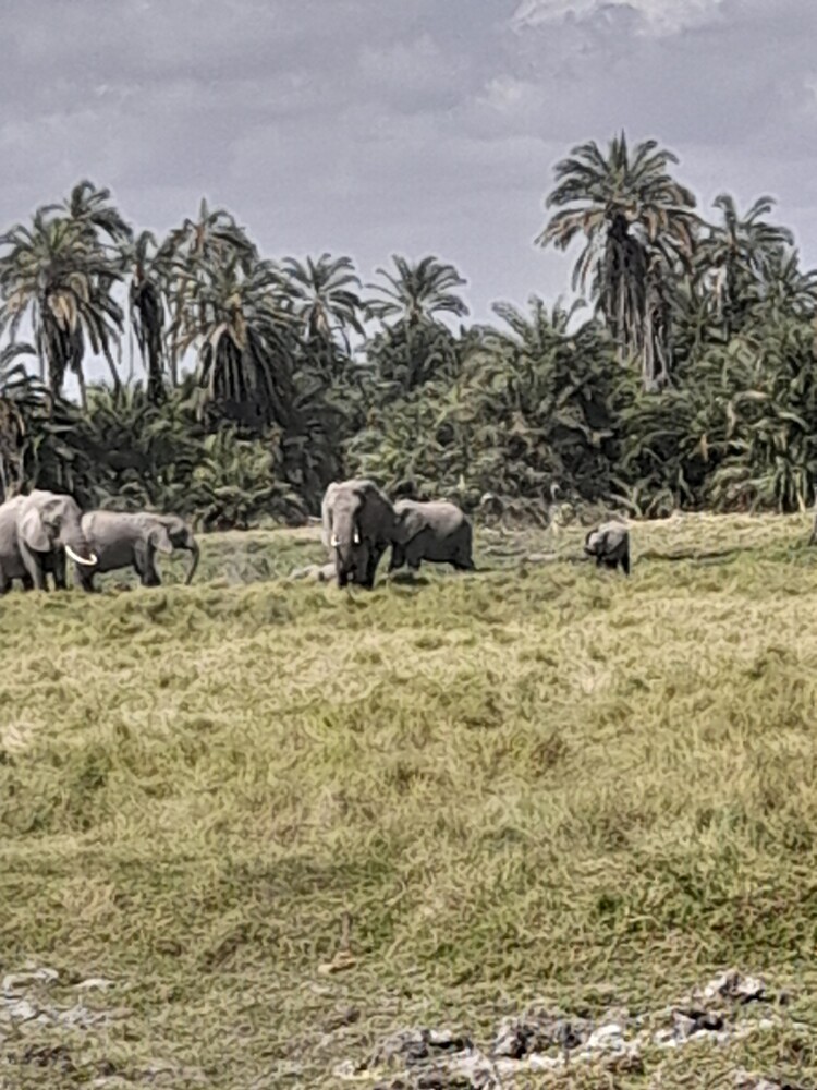 Photo by Rodgers Mulwa Muthusa