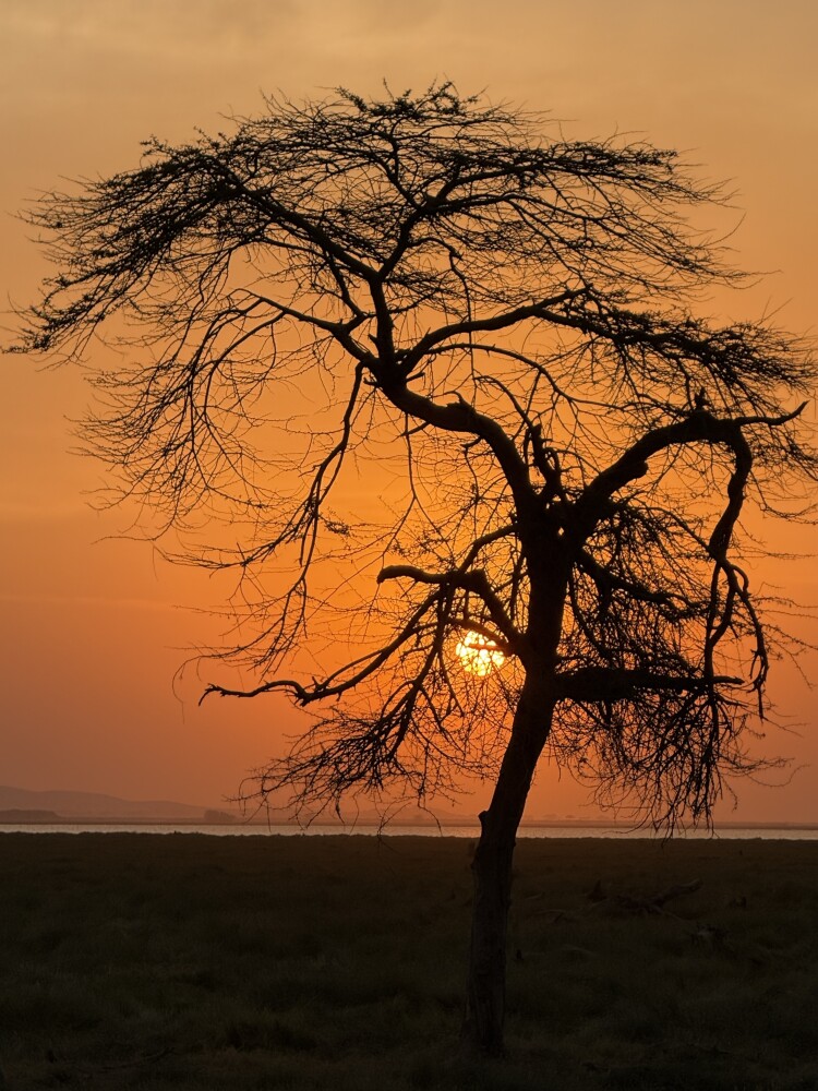 Photo by Javier