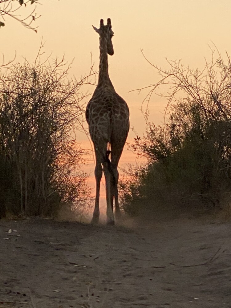 Sunrise Drive at 6am