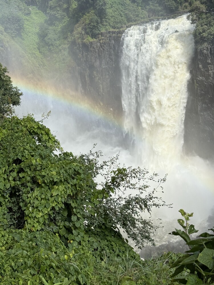 Rainbow View
